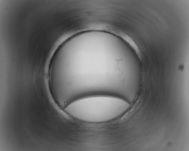 X0000103221088200808280920