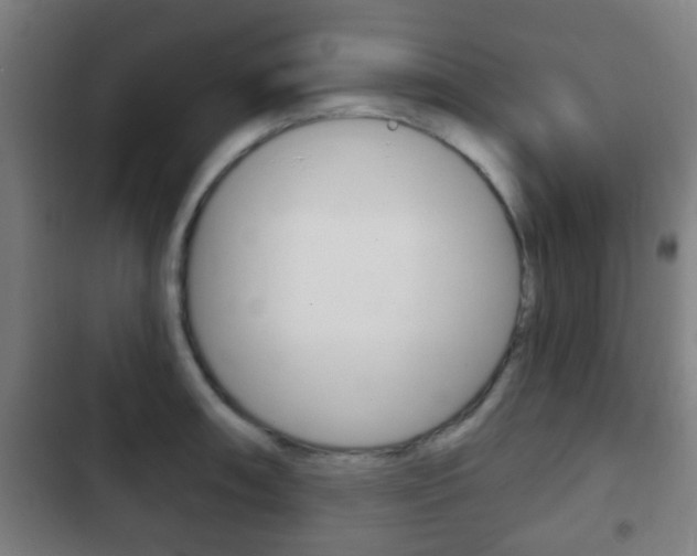 X0000103221090200808280920