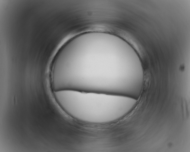 X0000103221091200808280920