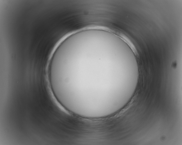 X0000103221092200808280920