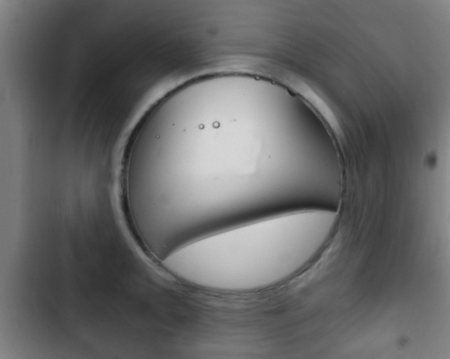 X0000103221093200808280920