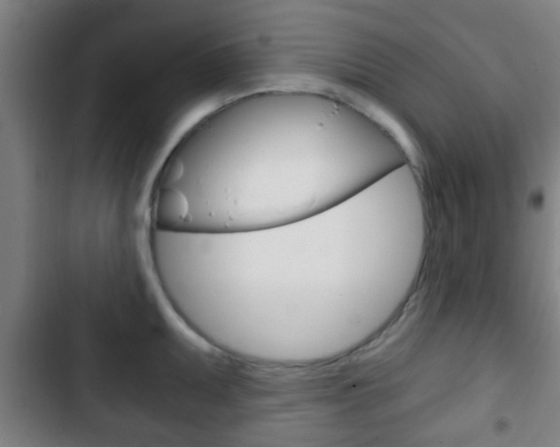 X0000103221095200808280920