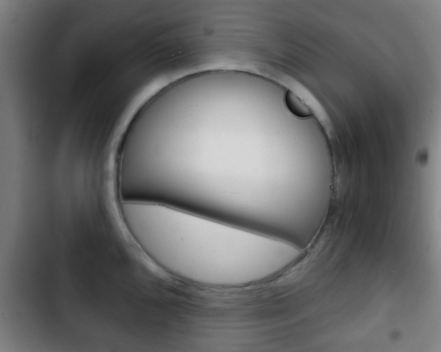 X0000103221096200808280920