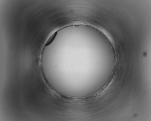 X0000103221097200808280920