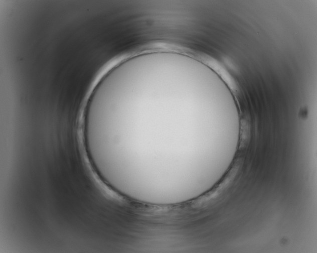 X0000103221098200808280920