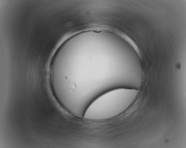 X0000103221099200808280920