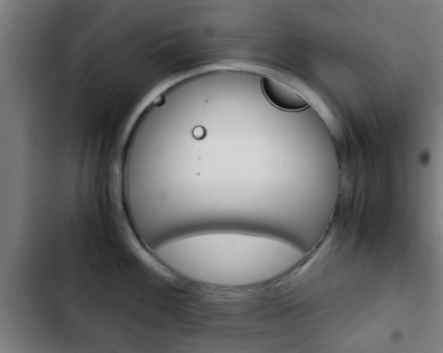 X0000103221100200808280920