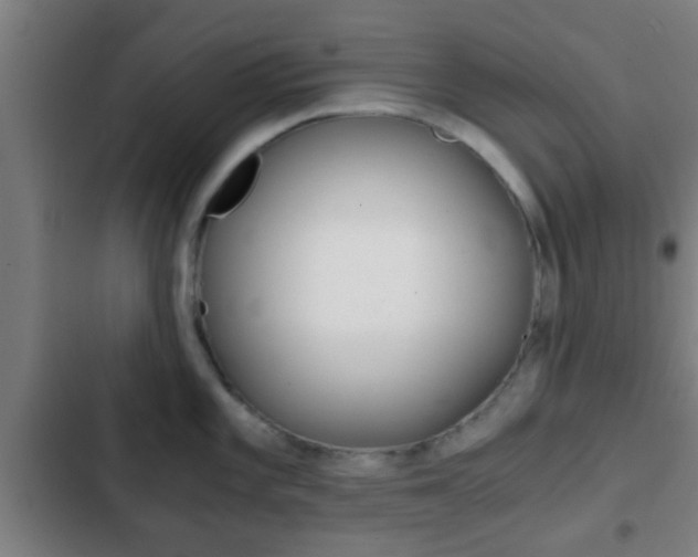 X0000103221101200808280920