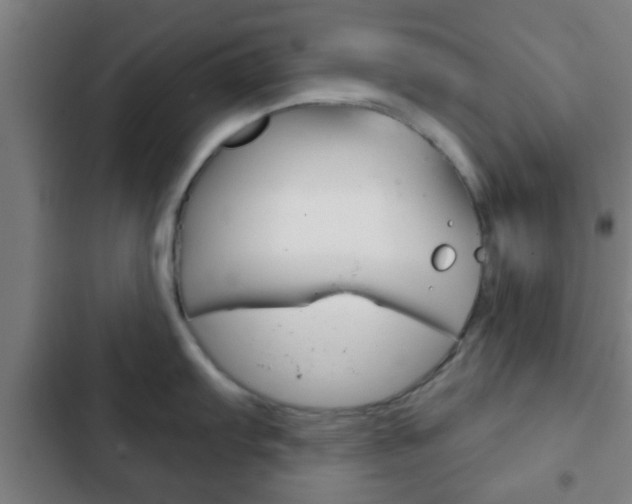 X0000103221103200808280920
