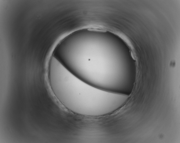X0000103221104200808280920