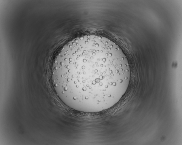 X0000103221105200808280919