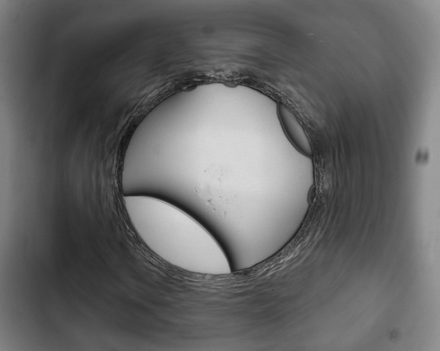 X0000103221106200808280919