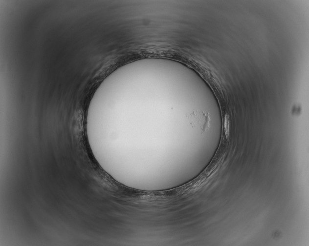 X0000103221107200808280919