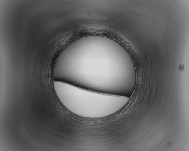X0000103221108200808280919