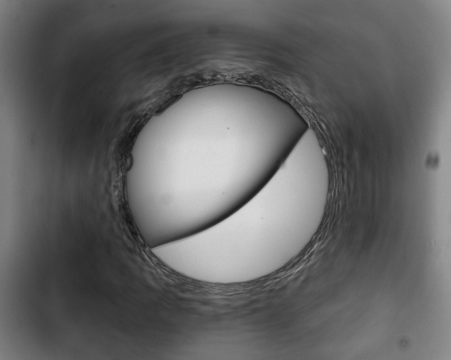 X0000103221109200808280919