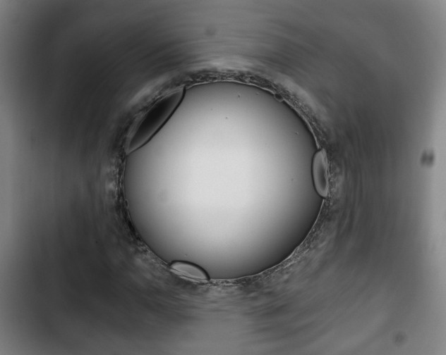 X0000103221110200808280919