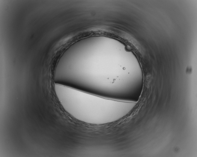X0000103221111200808280919
