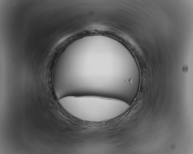 X0000103221112200808280919