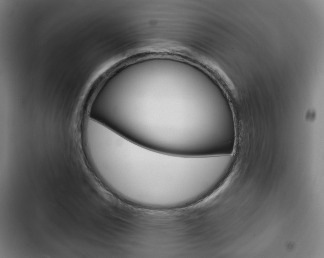 X0000103221114200808280919