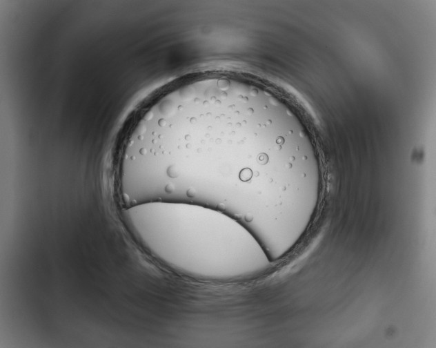 X0000103221117200808280919