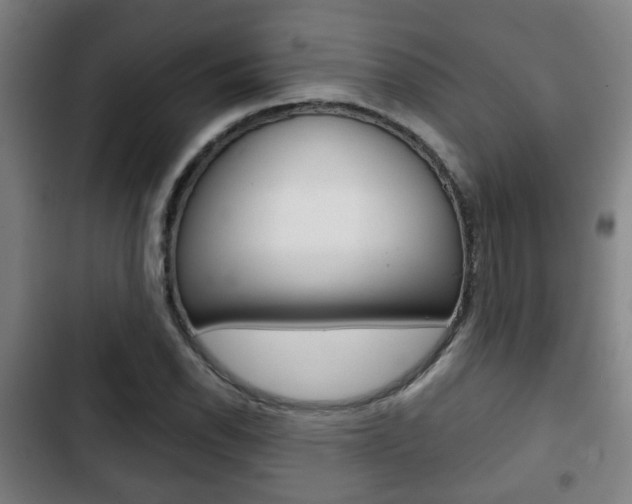 X0000103221118200808280919