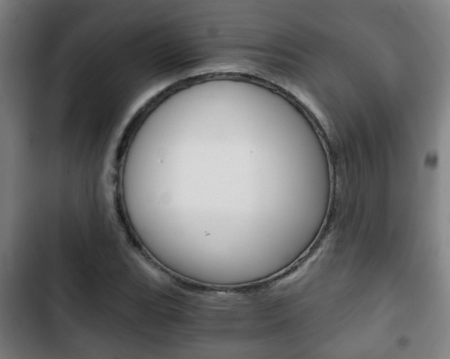 X0000103221119200808280919