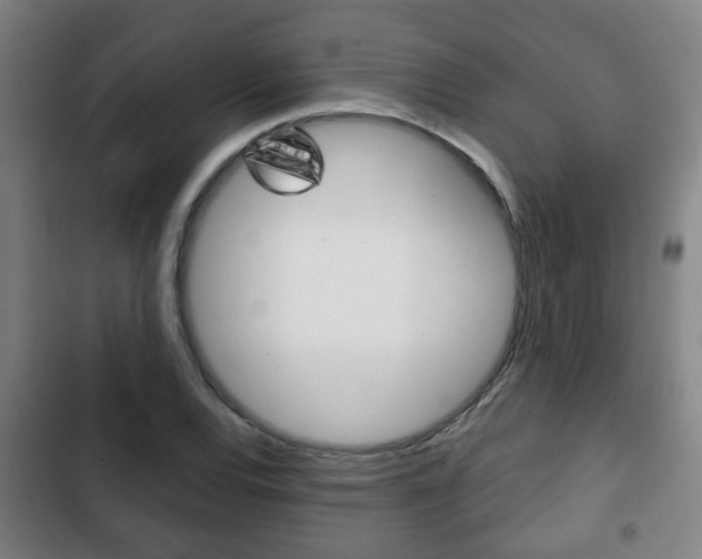 X0000103221120200808280919