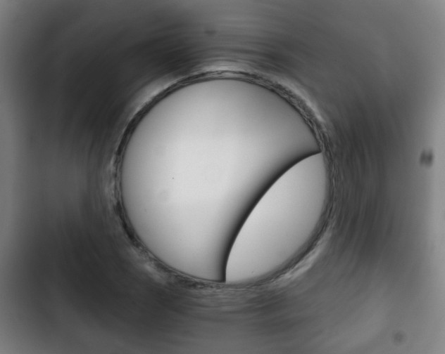 X0000103221121200808280919