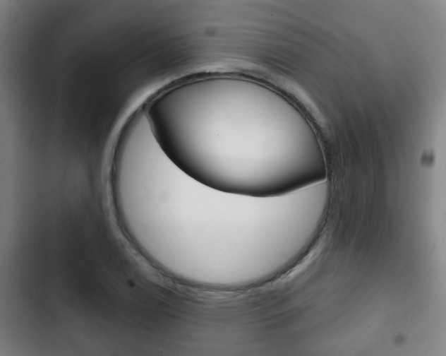 X0000103221122200808280920