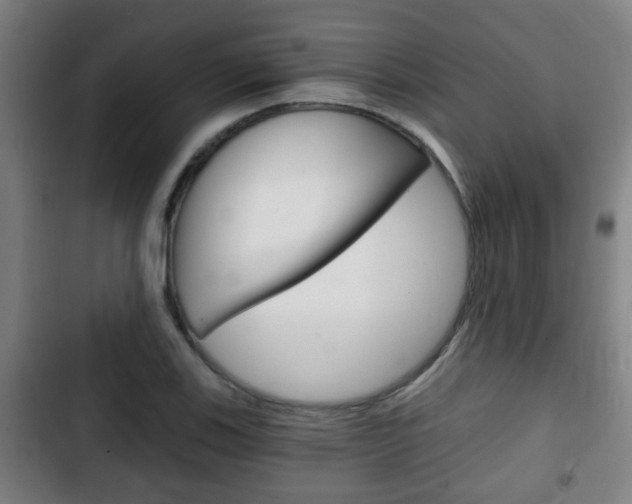 X0000103221123200808280920