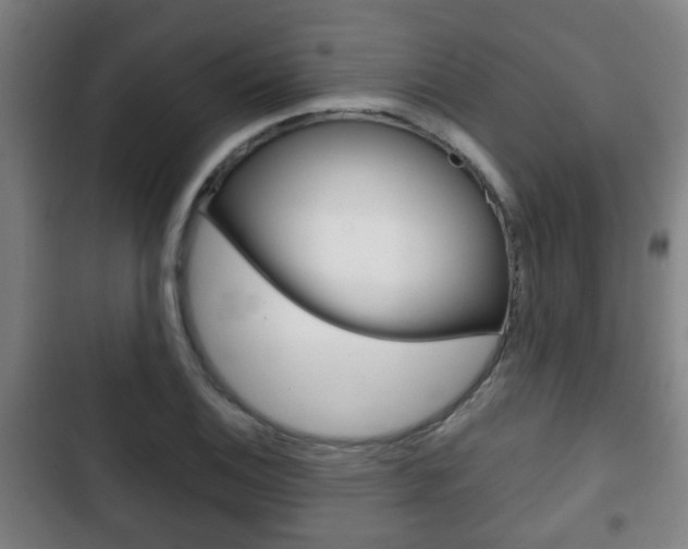 X0000103221124200808280920