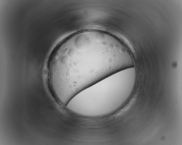 X0000103221125200808280920