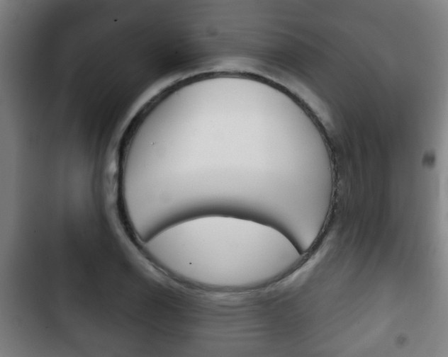X0000103221126200808280920