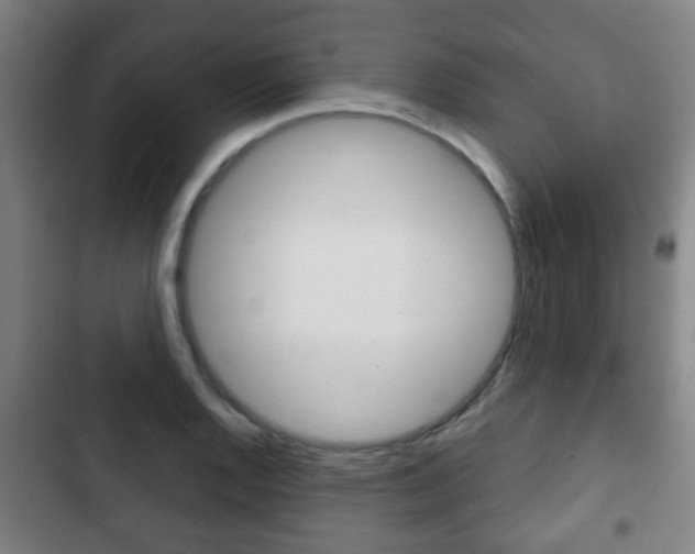 X0000103221128200808280920