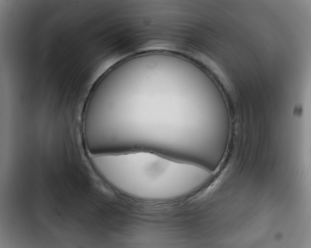 X0000103221129200808280920