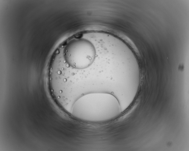 X0000103221130200808280920