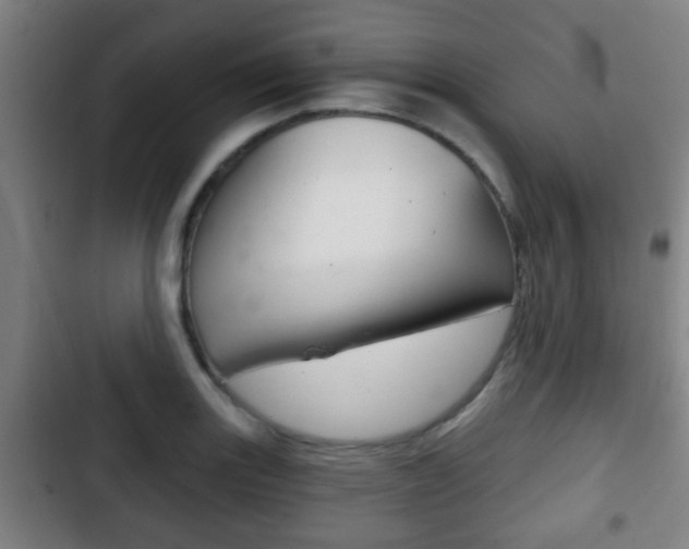 X0000103221131200808280920