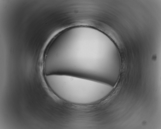 X0000103221132200808280920