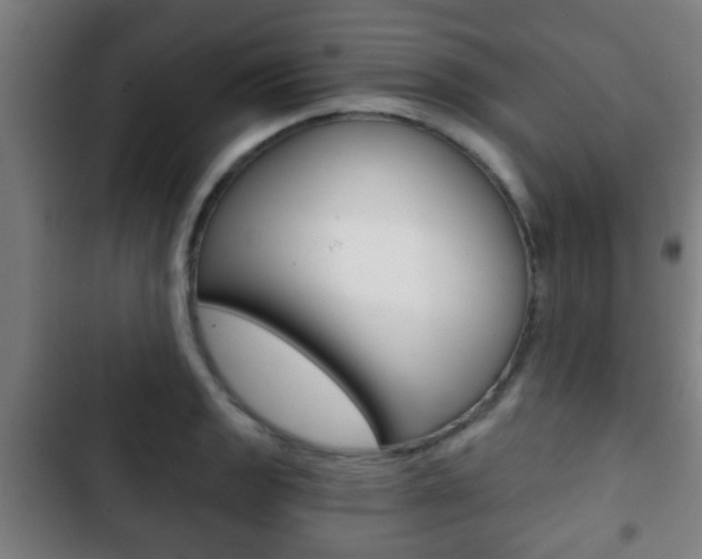 X0000103221133200808280920