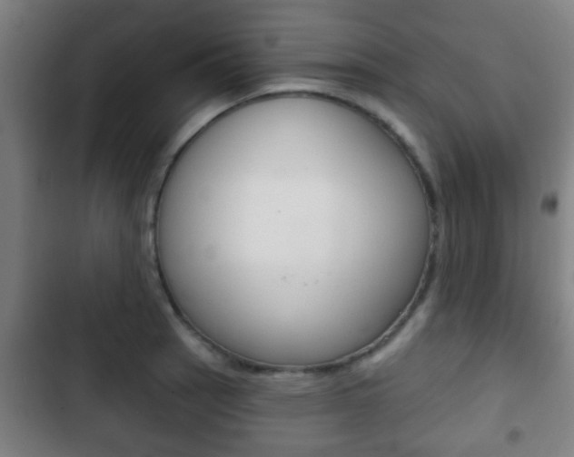 X0000103221137200808280920