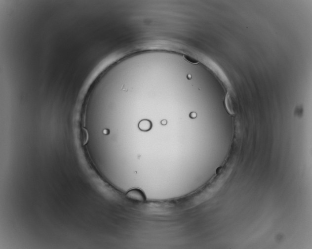X0000103221138200808280920