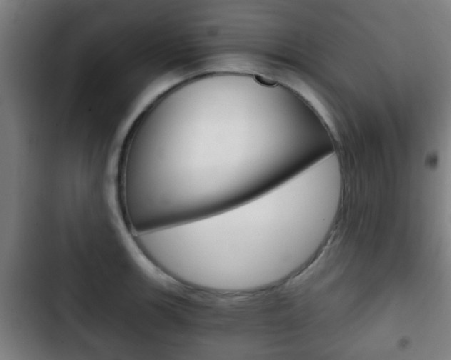 X0000103221139200808280920