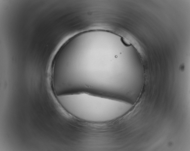 X0000103221140200808280920