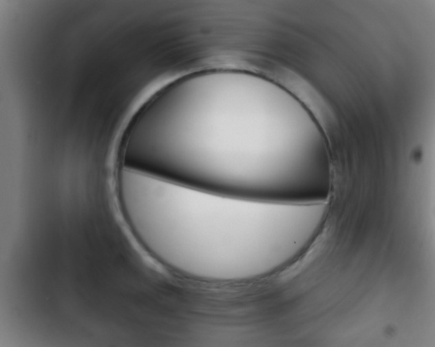 X0000103221141200808280920