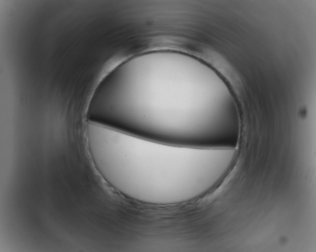X0000103221145200808280920