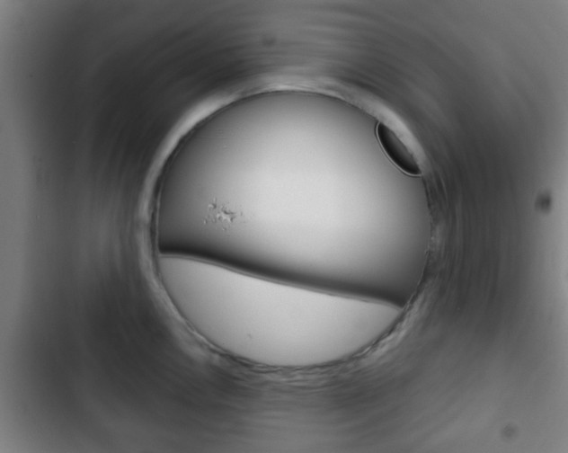 X0000103221146200808280920
