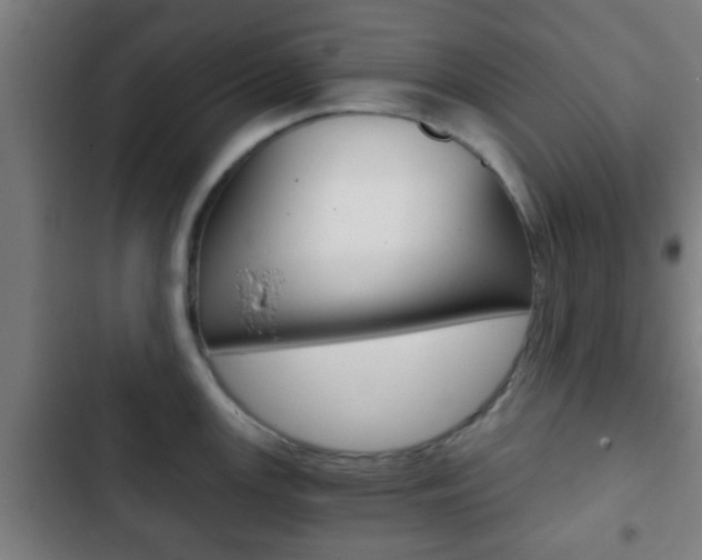 X0000103221147200808280920