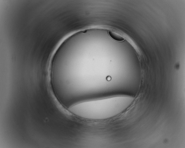 X0000103221148200808280920