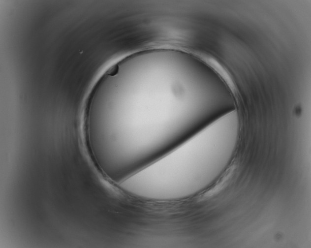 X0000103221149200808280920