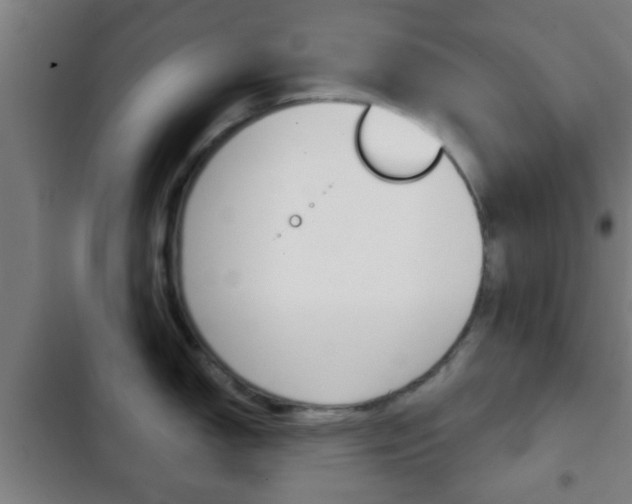 X0000103221150200808280920